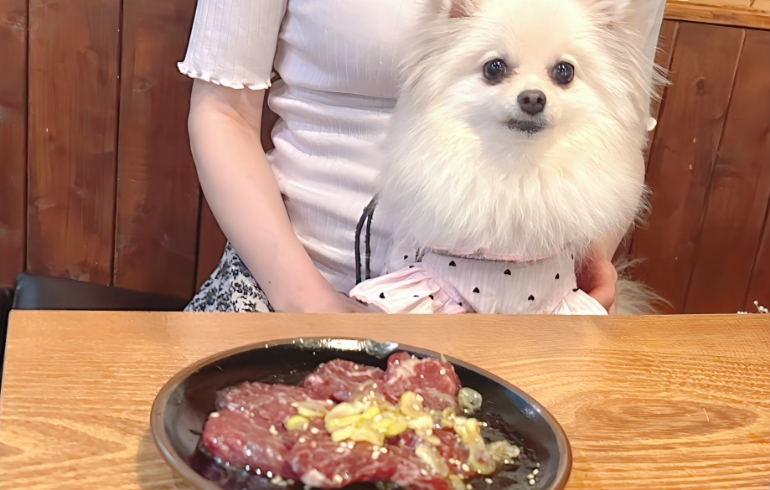 ハラミ（生）