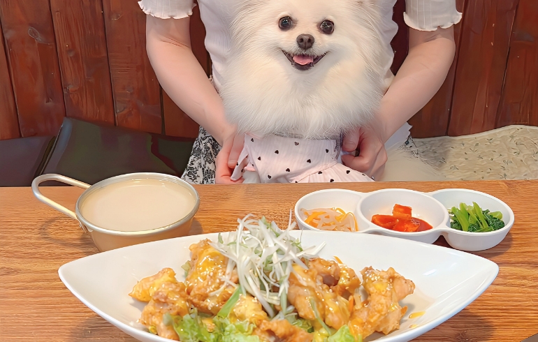 ネギチキン