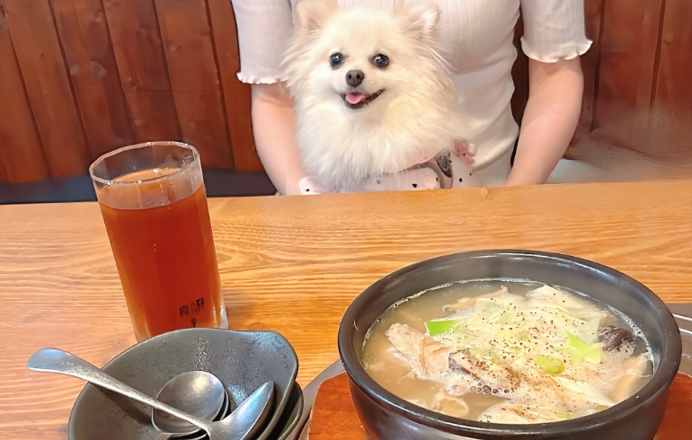 サムゲタン
