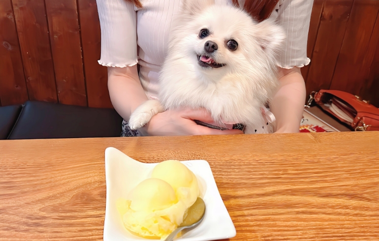 ゆずシャーベット