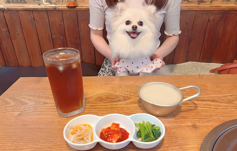 マッコリと前菜各種