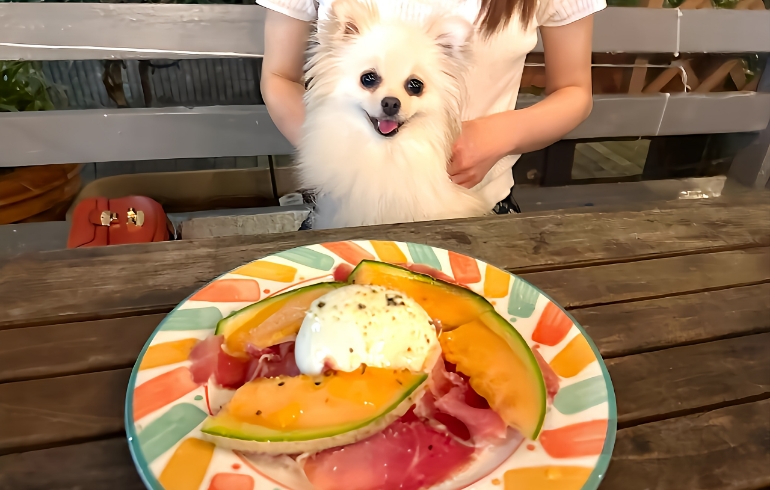 生ハムメロン1