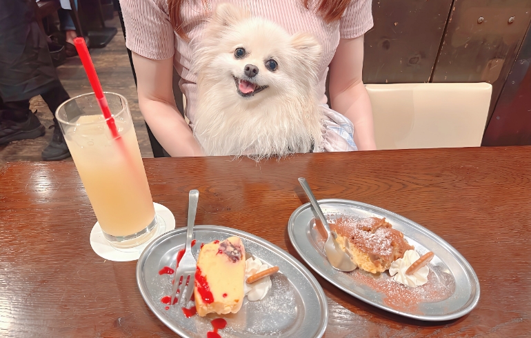 ティラミスとチーズケーキとゆめちゃん