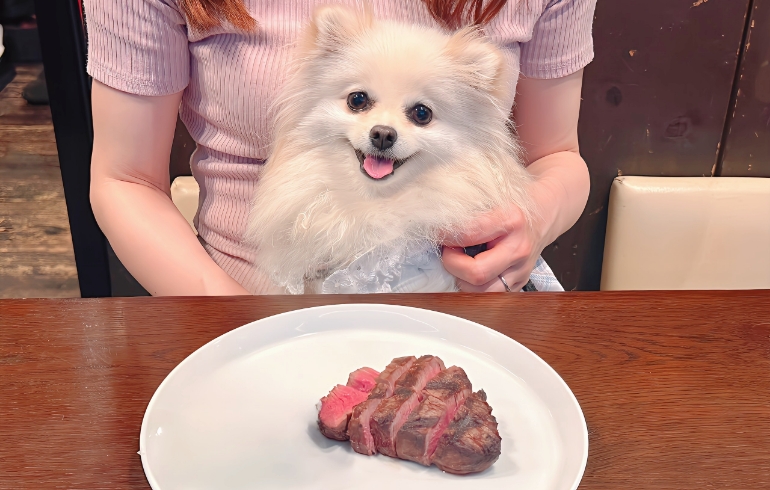 牛フィレステーキ（ワンちゃん用）