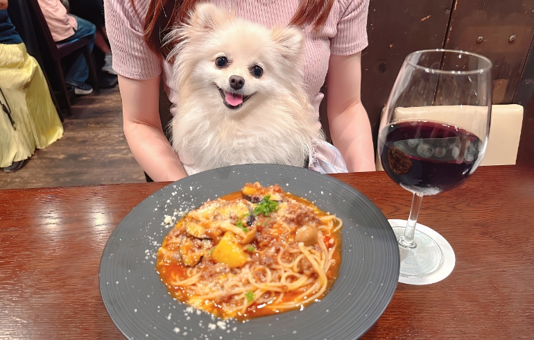 国産牛スジの自家製ボロネーゼモッツァレラチーズのせ（パスタ）