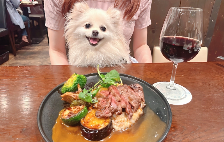 牛フィレステーキ チーズリゾット付