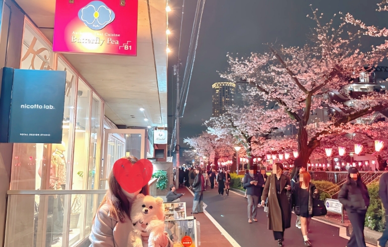 画像 1
