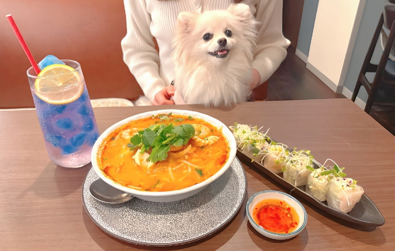 画像 1