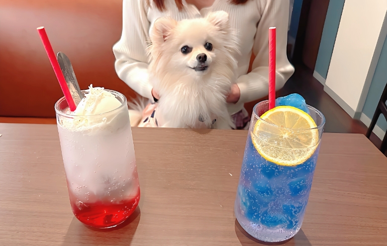 画像 1