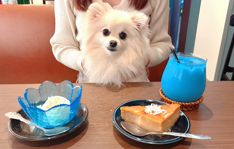 画像 1