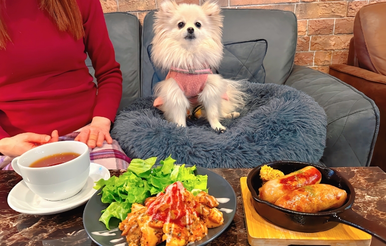 ゆめちゃんと料理２種2