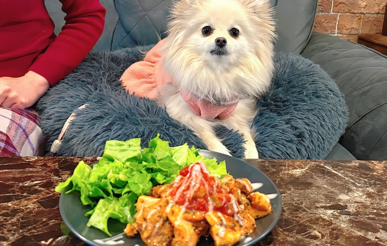 自家製ジャークチキンとゆめちゃん