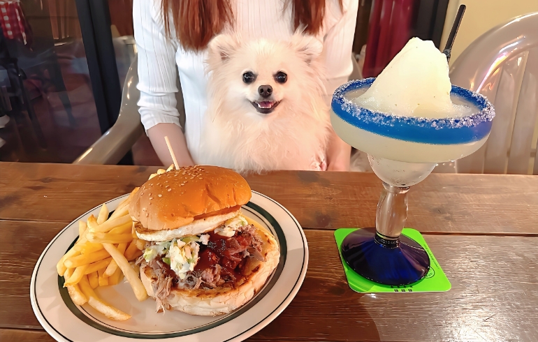 プルドポークサンドイッチと笑顔のゆめちゃん