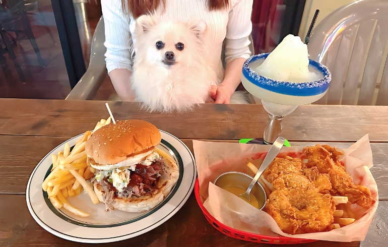 プルドポークサンドイッチとゆめちゃん