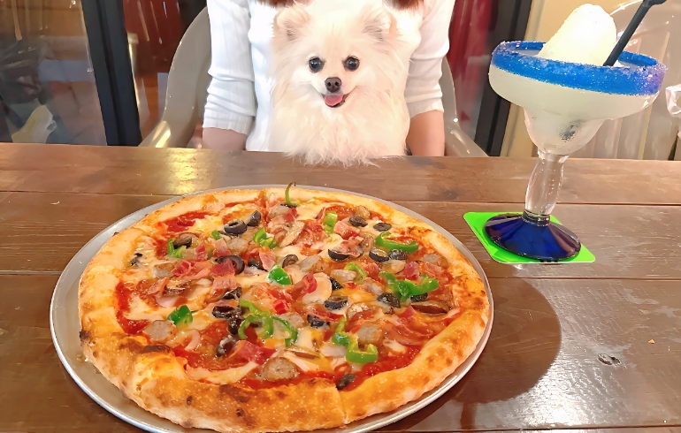 カリフォルニアピザとゆめちゃん
