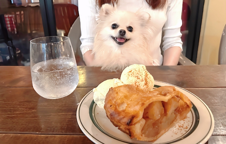アップルパイとアイスとゆめちゃん