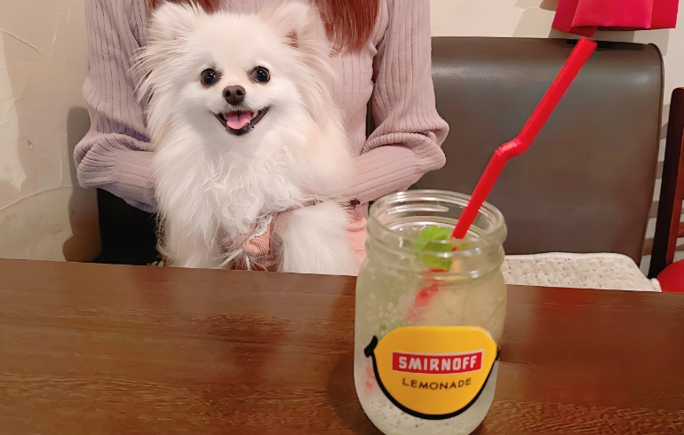 ドリンク