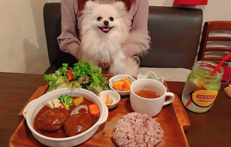 ハンバーグごはんプレートとゆめちゃん