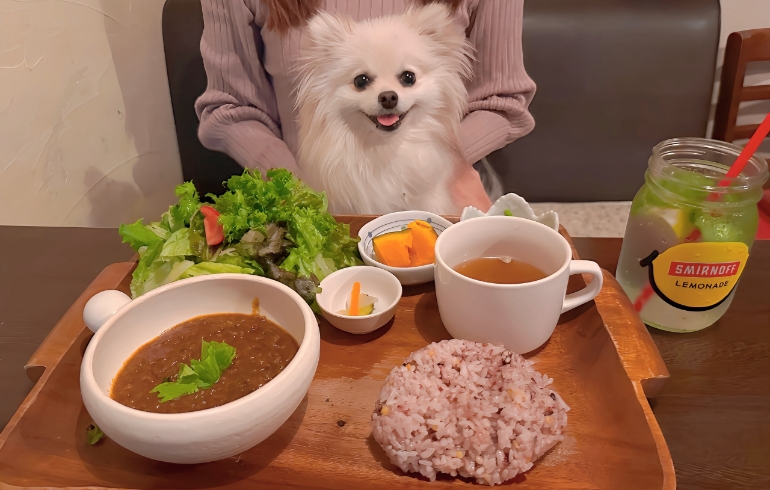 キーマカレーごはんプレートとゆめちゃん