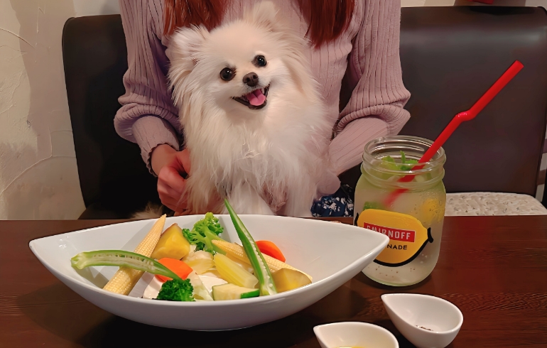 9種の野菜と豆腐の瞬間蒸しサラダとゆめちゃん