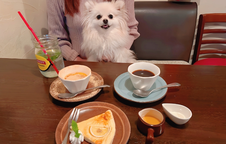 デザート各種とゆめちゃん