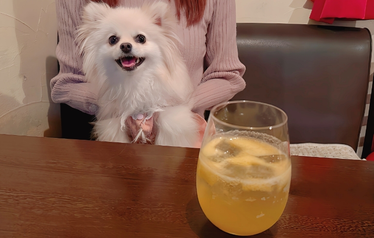 ラフランスソーダ割りワイン（白）とゆめちゃん