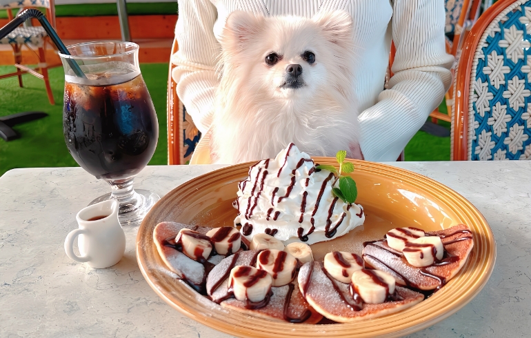 パンケーキ