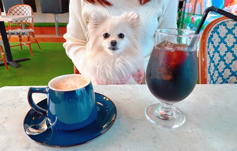 コーヒー