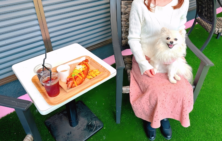 ドックランでランチ
