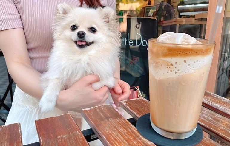 フローズンエスプレッソとゆめちゃん