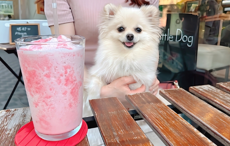 フローズンベリーとゆめちゃん
