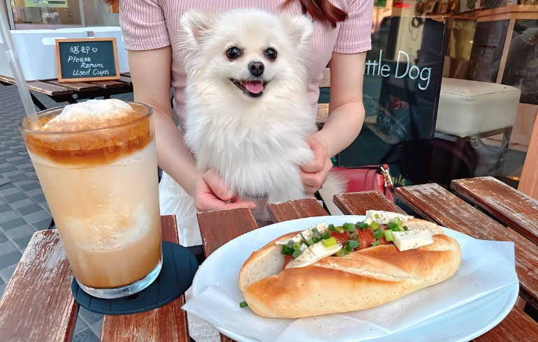 ホットドッグとゆめちゃん