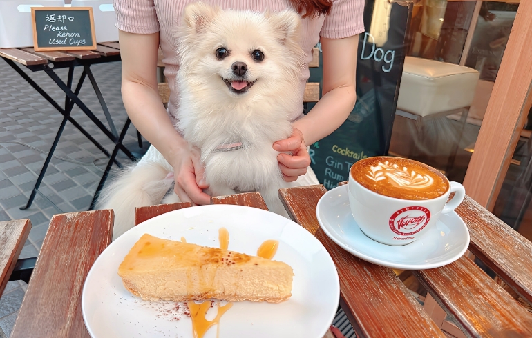 極上チーズケーキとゆめちゃん