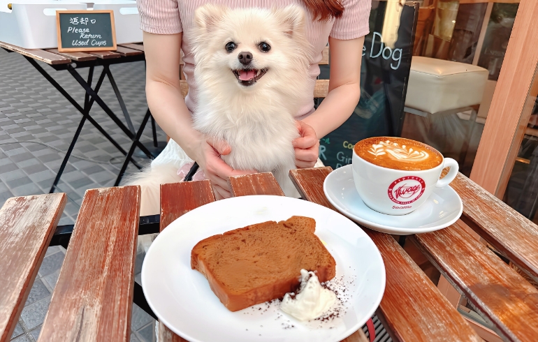 コーヒーのケーキとゆめちゃん