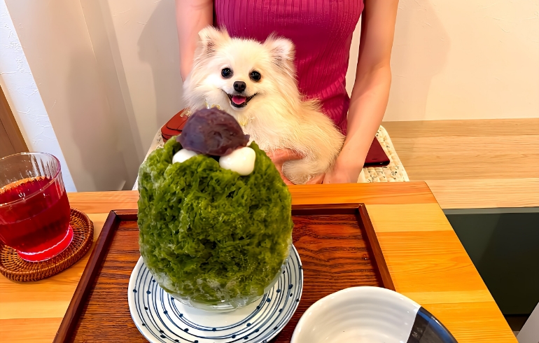 抹茶かき氷