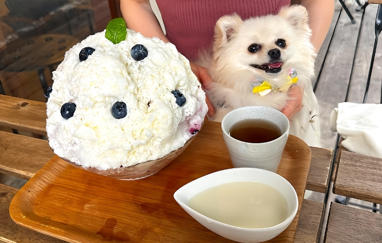 画像 1
