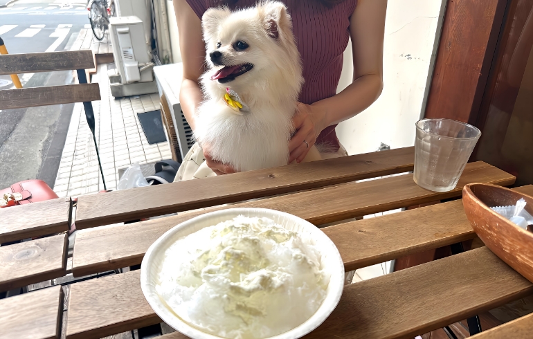 ゆめちゃんとワンちゃん用かき氷