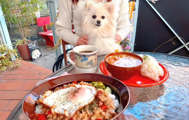 ゆめちゃんとランチ料理２種