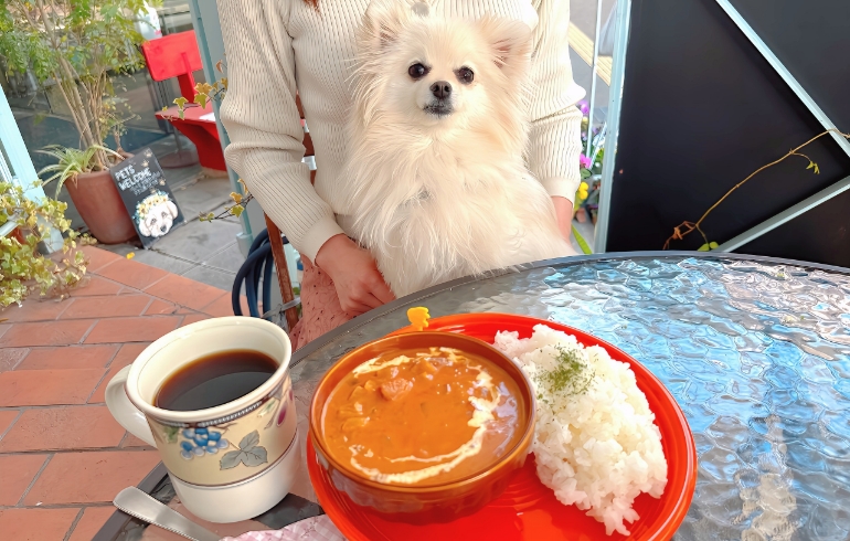 ゆめちゃんとバターチキンカレー
