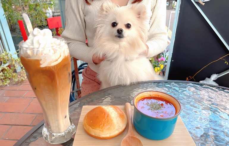 ゆめちゃんとミネストローネ