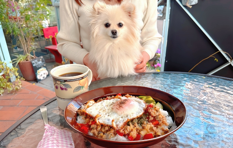 ガパオライス