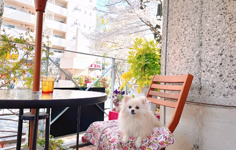 テラス席2
