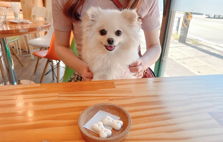 ビスケットのおやつとゆめちゃん