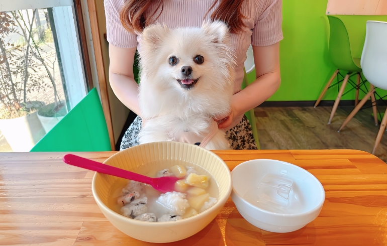 とりだんごスープとゆめちゃん