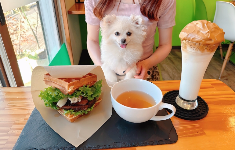 ワッフルサンドとゆめちゃん