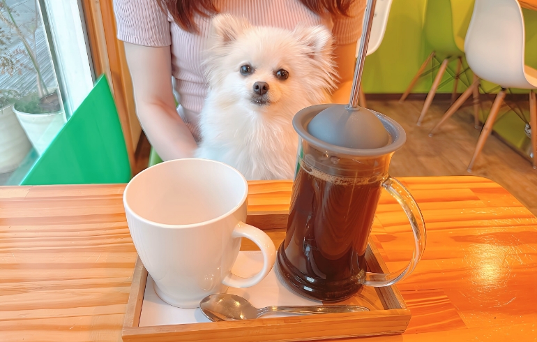 ダルゴナコーヒーとゆめちゃん