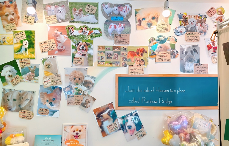 店内6（壁の写真集）