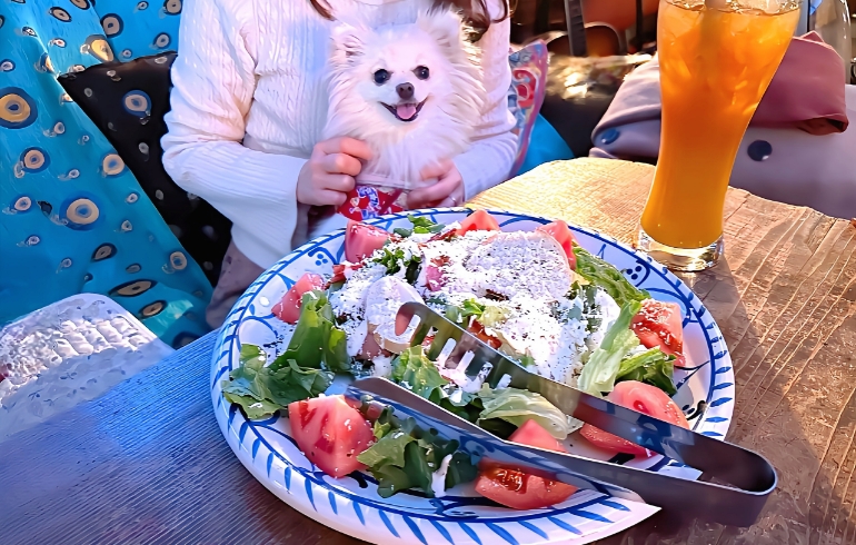 シーザーサラダ1