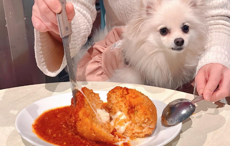 シチリア風ライスコロッケ、ミートソースがけ（切ってチーズが出てきてるとこ）とゆめちゃん