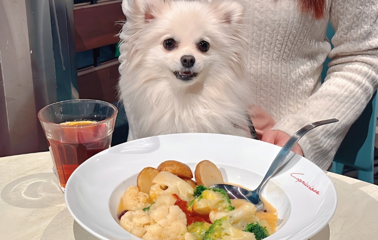 温野菜のバター風味 揚げポテト添えとゆめちゃん